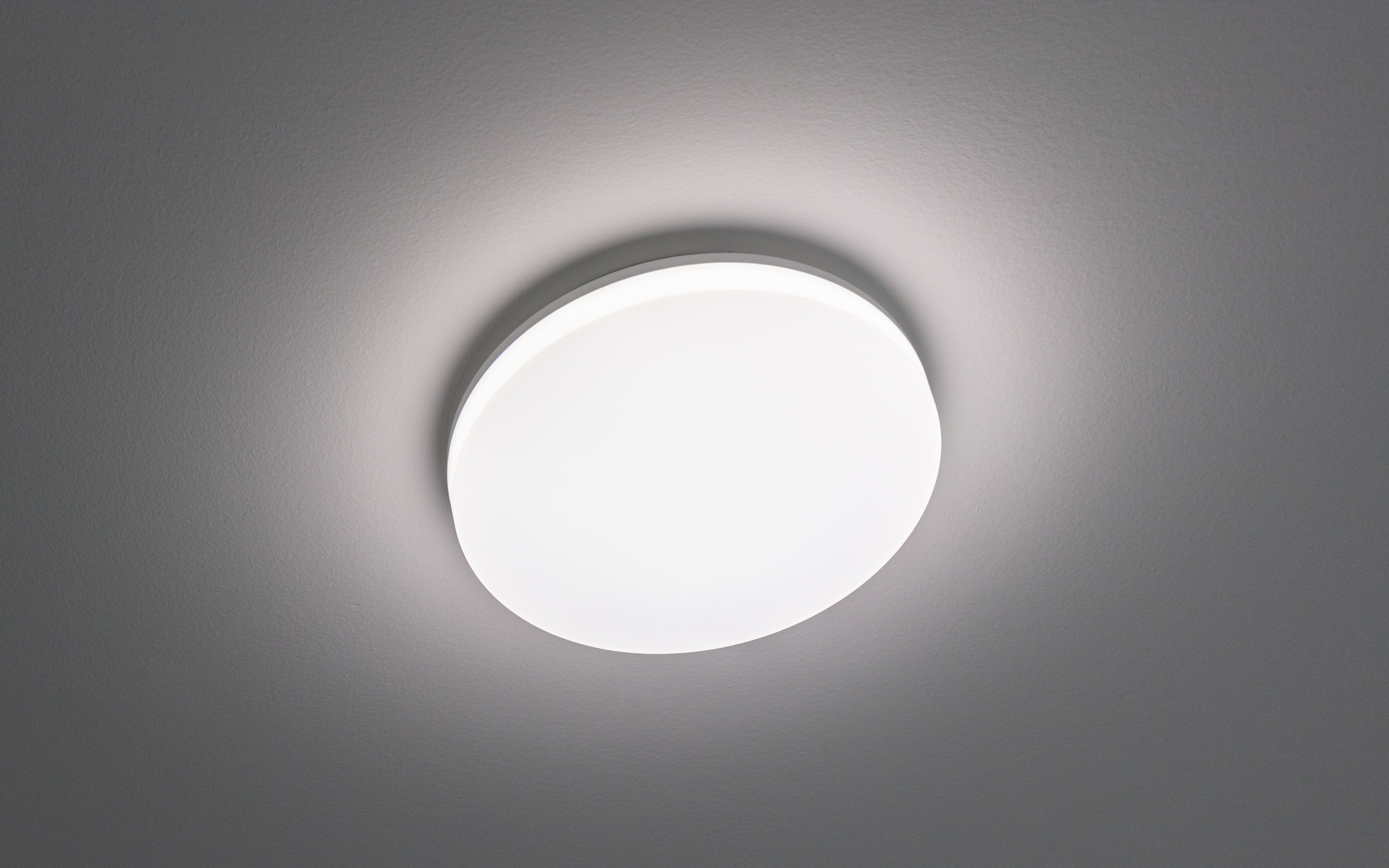 Oyster Ceiling Lights