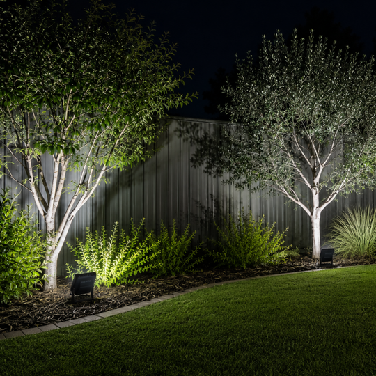 Lush garden with illuminated trees at night
