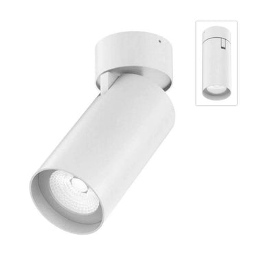 Domus PISTOL-25 - 25W LED Single Colour Dimmable Adjustable Surface Mount Downlight White 5000K