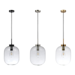 Domus FLAUNT-CLEAR - Clear Oval Glass Pendant
