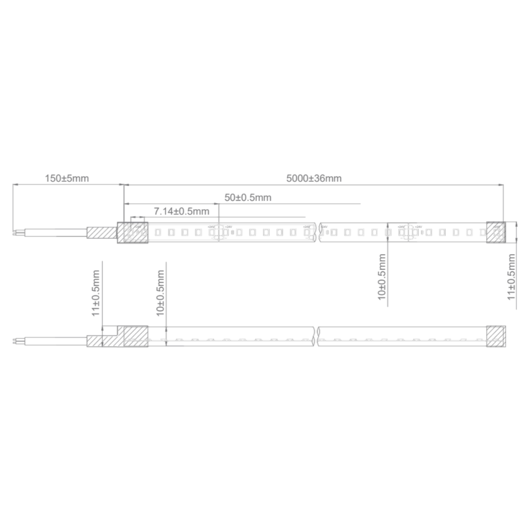 Domus NEON-14.4-T - 14.4W LED Neon 140 LED P/M Top View Striplight 5m Roll Pack 24V IP66 - DRIVER REQUIRED
