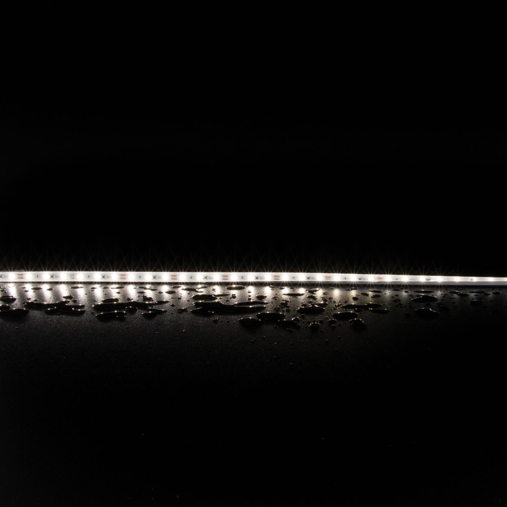 Domus PLEX-7.2-WP-5M - 7.2W LED 60LED P/M Striplight 5m Roll Pack 12V IP66 - 5000K - DRIVER REQUIRED