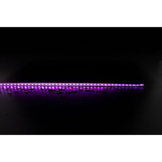 Domus PLEX - 19.2W RGBWW LED Striplight IP67 24V - DRIVER REQUIRED-Domus Lighting-Ozlighting.com.au