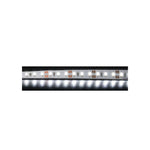 Domus STRIP-120-5M - 19.2W LED 120LED P/M Striplight IP20 12V 5M Roll Pack - DRIVER REQUIRED-Domus Lighting-Ozlighting.com.au
