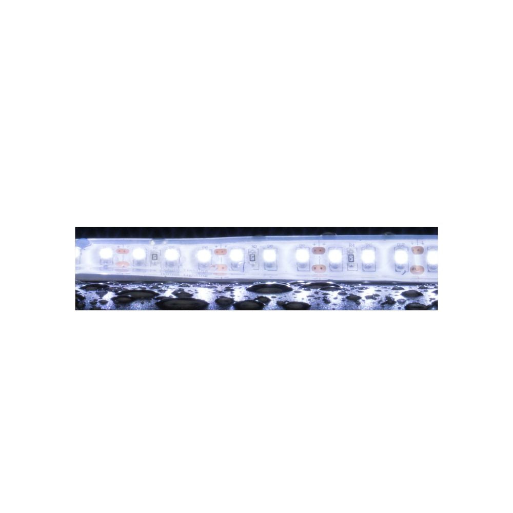 Domus STRIP-120-WP-5M - 10W LED High Output 120LED P/M Weatherproof Striplight 5M Roll Pack 12V IP66 - DRIVER REQUIRED - 6500K