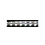 Domus STRIP-60-GMA-5M - 14.4W LED 60LED P/M High Output Striplight IP20 12V 6500K 5M Roll Pack - DRIVER REQUIRED