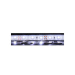 Domus STRIP-60-WP-5M - 4.8W LED 60LED P/M Weatherproof Striplight IP66 12V 5M Roll Pack - DRIVER REQUIRED