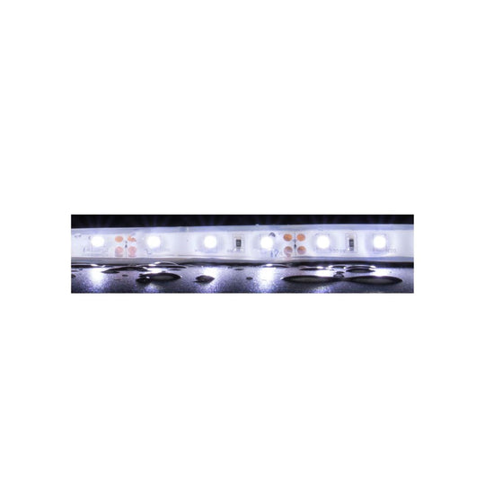 Domus STRIP-60-WP-5M - 4.8W LED 60LED P/M Weatherproof Striplight 5m Roll Pack 12V IP66 - DRIVER REQUIRED - 6500K